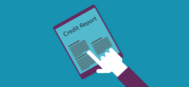 Central Credit Register Illustration of Credit Report
